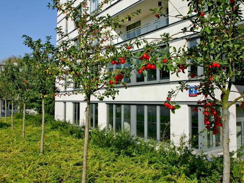 Green roof with small trees